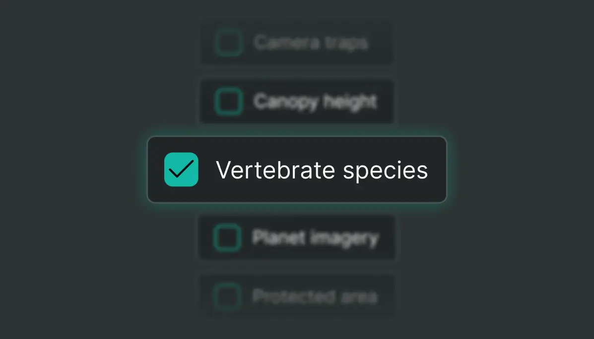 Map layers selection